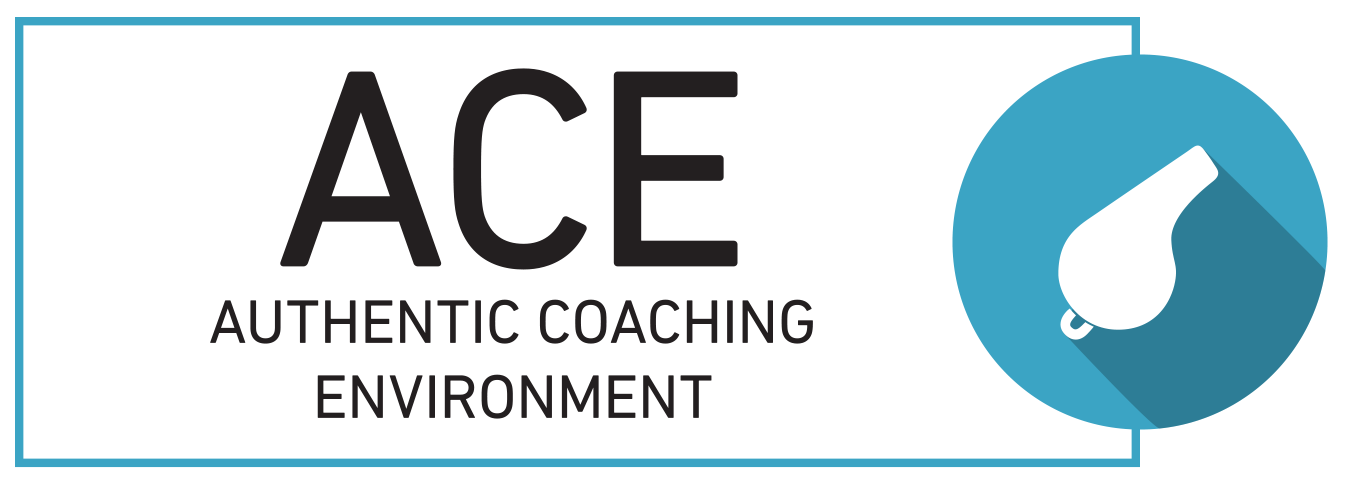 InfoCision Authentic Coaching Environment