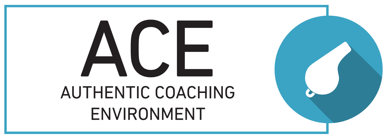 “Agent training in InfoCision’s ACE Authentic Coaching Environment, practicing simulated call center scenarios for skill development.”